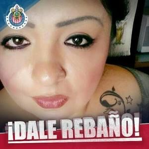 Meet your Posher, Max