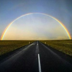 Meet your Posher, Mona