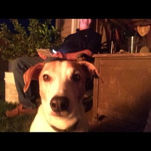 Meet your Posher, Jenny