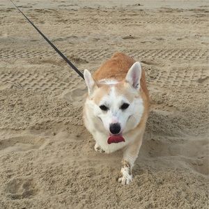 Meet your Posher, April