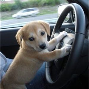 Meet your Posher, Chris