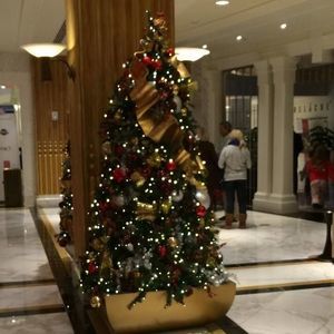 Meet your Posher, Deborah