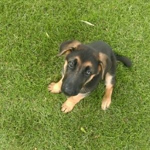 Meet your Posher, Kathryn