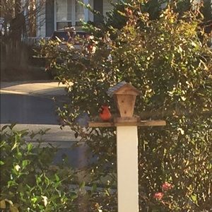 Meet your Posher, Tabitha