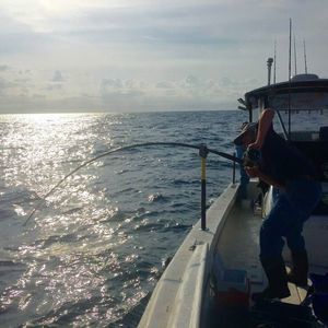 Meet your Posher, Will