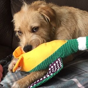 Meet your Posher, Richard