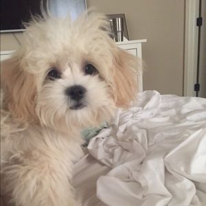 Meet your Posher, Christine