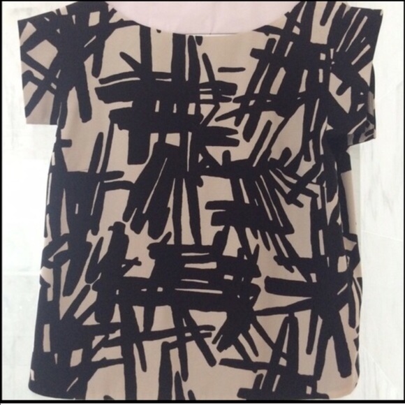 Tibi crop top