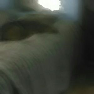 Meet your Posher, Rey