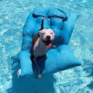 Meet your Posher, Audrey