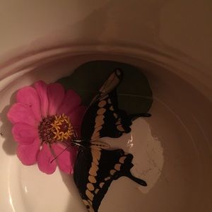 Meet your Posher, Iris