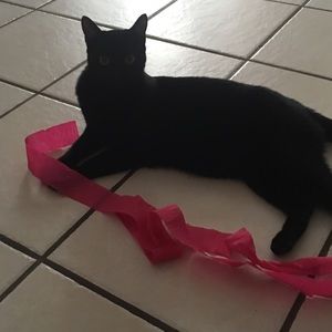 Meet your Posher, Debbie