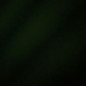 Meet your Posher, Marisol