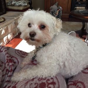 Meet your Posher, Connie