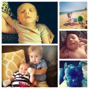 Meet your Posher, Ellen