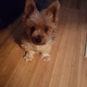 Meet your Posher, Christy