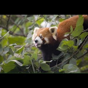 Meet your Posher, Jane clare