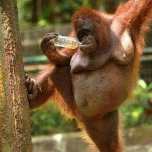 Meet your Posher, Nathan