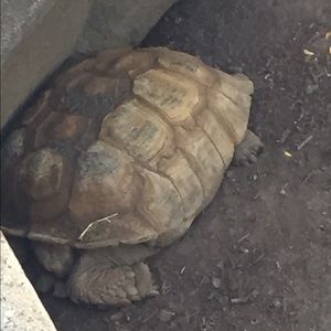 Meet your Posher, Eva