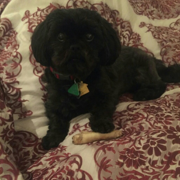 Meet your Posher, Pamela (Pamprrd) - Picture 4 of 8