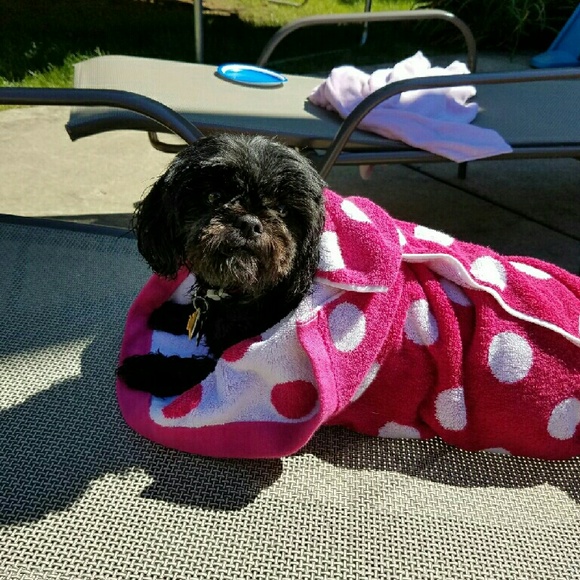 Meet your Posher, Pamela (Pamprrd) - Picture 5 of 8