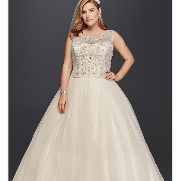 Meet your Posher, Natasha - Picture 1 of 1