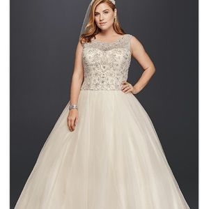 Meet your Posher, Natasha