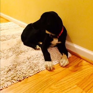 Meet your Posher, Lexus