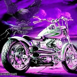 Meet your Posher, Ruben