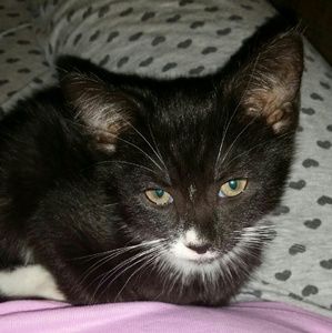 Meet your Posher, Krystal