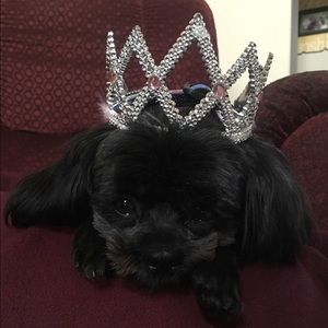 Meet your Posher, Vanessa