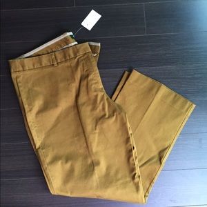 NWT J.Crew City Pant