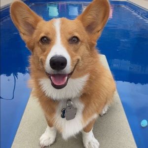 Meet your Posher, Paris