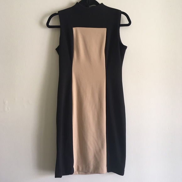 Black and Tan Calvin Klein dress