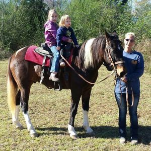 Meet your Posher, Bridgette