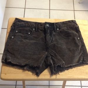 Free People corduroy stonewashed mocha shorts.