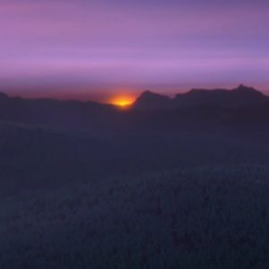 Meet your Posher, Annie