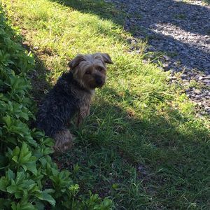 Meet your Posher, Deirdre