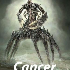 Meet your Posher, Freddy