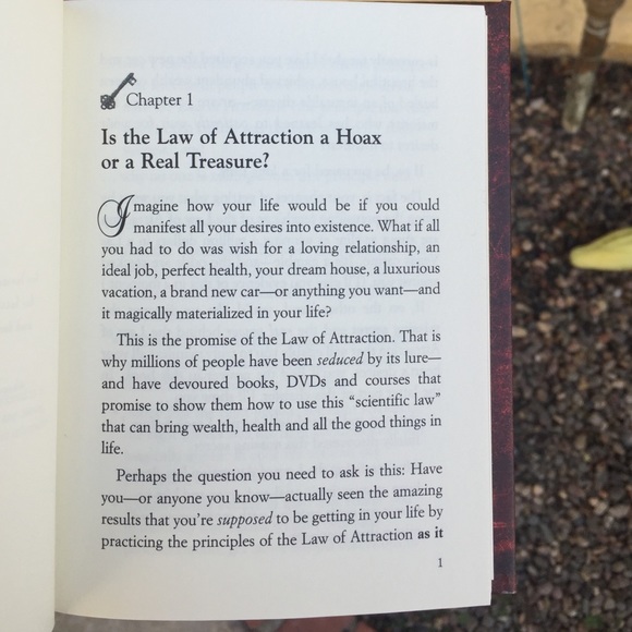 The Greatest Manifestation Principle in the World - Picture 3 of 4