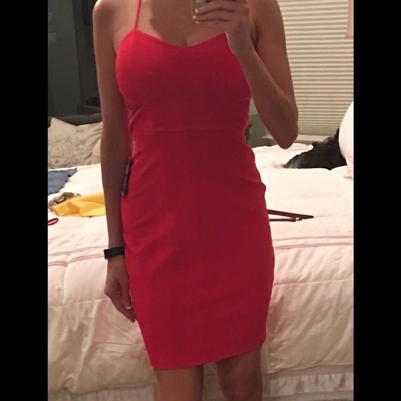 Red express lace inset dress - Picture 3 of 3