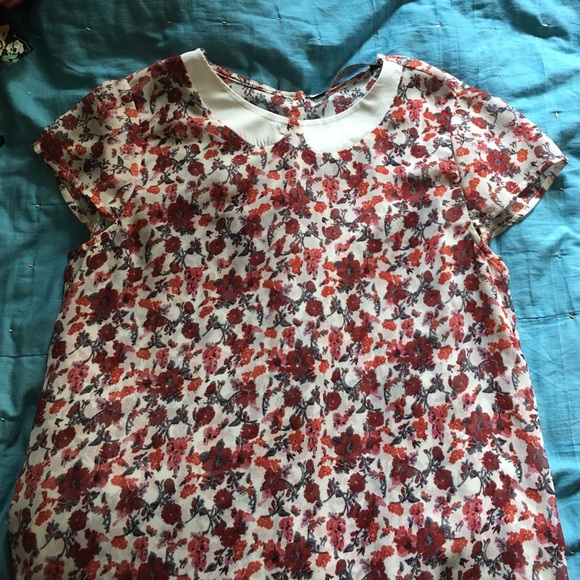 Sheer ZARA floral Peter Pan collared shirt