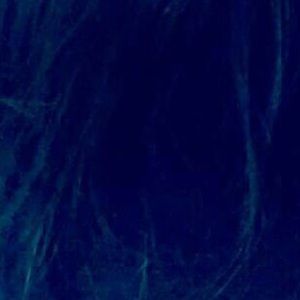 Meet your Posher, Isabel