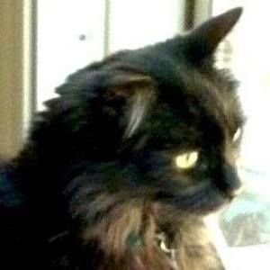 Meet your Posher, Pam