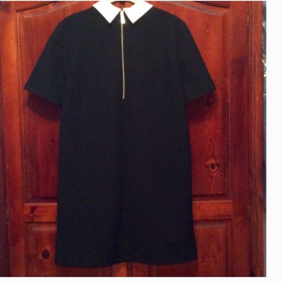 HOST PIC! PERFECT ZARA SHIFT.NWOT!!!! - Picture 2 of 3