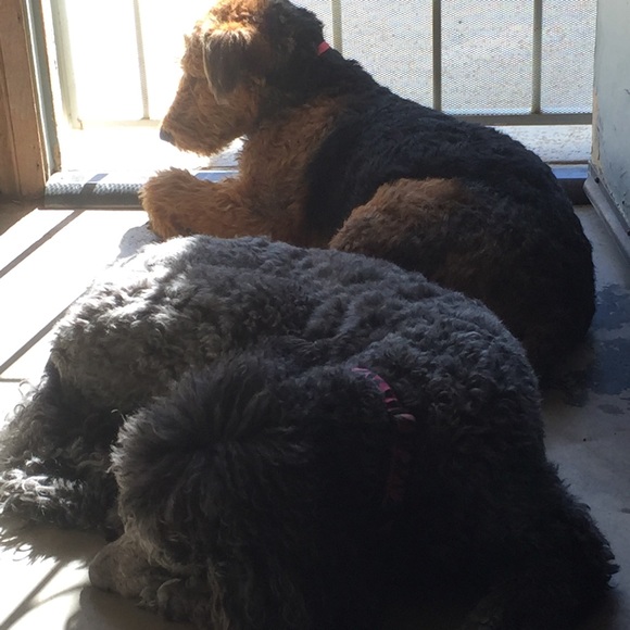 ๐น๐Regina๐๐น - Picture 2 of 6