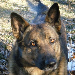 Meet your Posher, Sharon