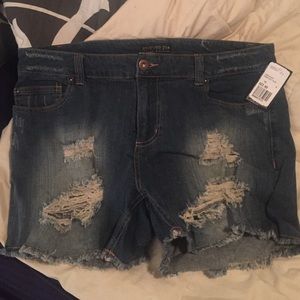 Plus size shorts