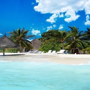 For@sandlong1990 only