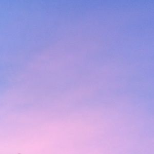 Meet your Posher, Sidney